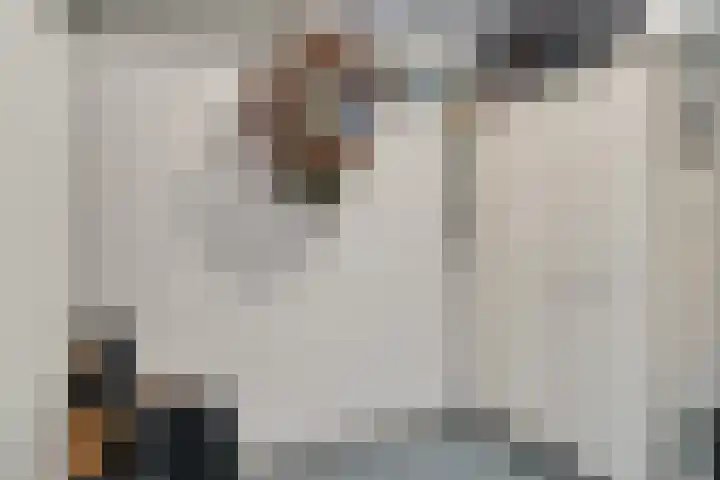 Bordeauxdreef 45 Rotterdam thumbnail 47