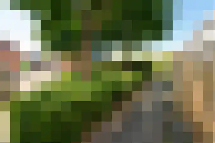 Bordeauxdreef 45 Rotterdam thumbnail 48