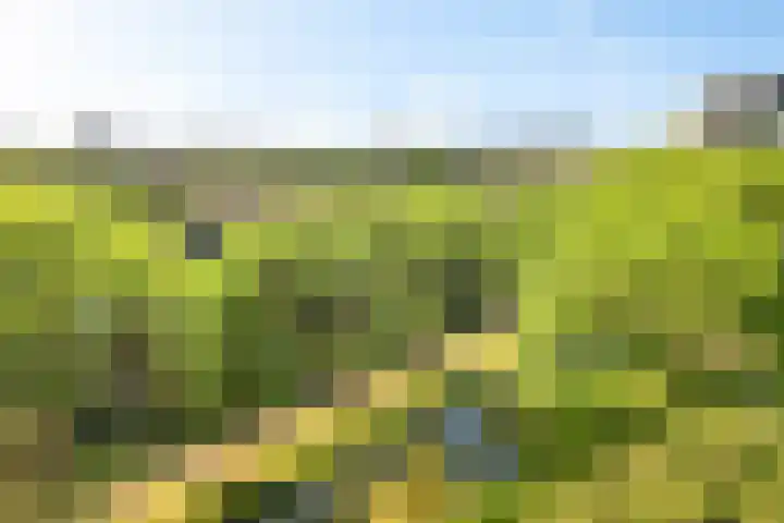 Bordeauxdreef 45 Rotterdam thumbnail 5