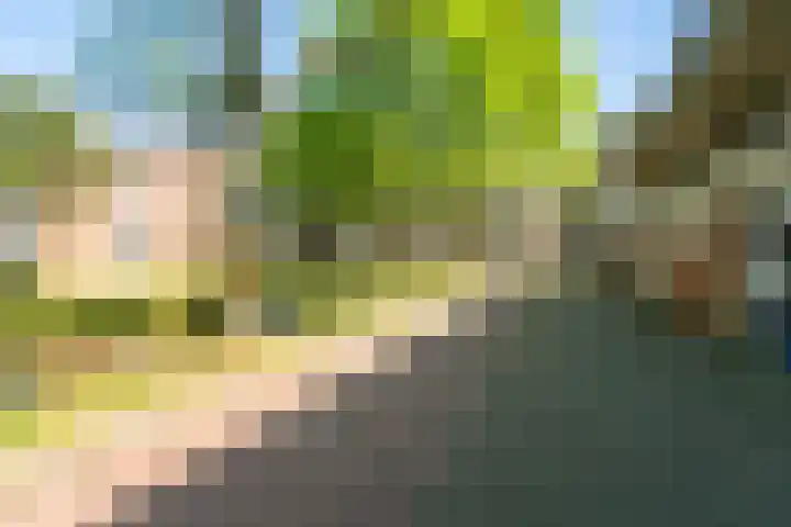Bordeauxdreef 45 Rotterdam thumbnail 50
