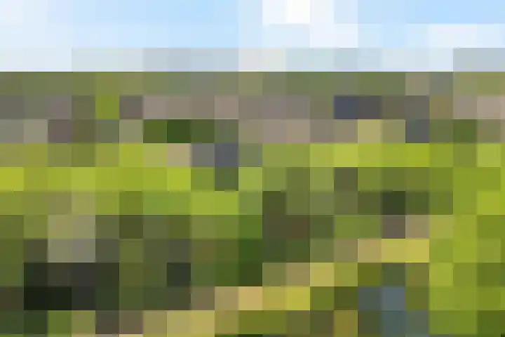Bordeauxdreef 45 Rotterdam thumbnail 53