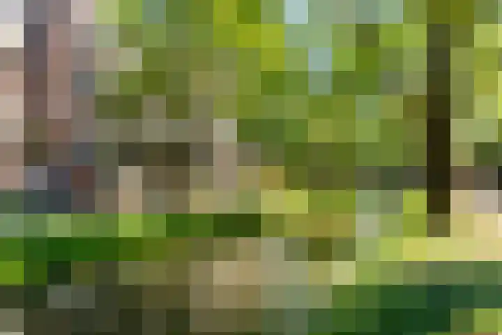Bordeauxdreef 45 Rotterdam thumbnail 6