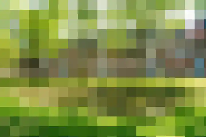 Bordeauxdreef 45 Rotterdam thumbnail 7