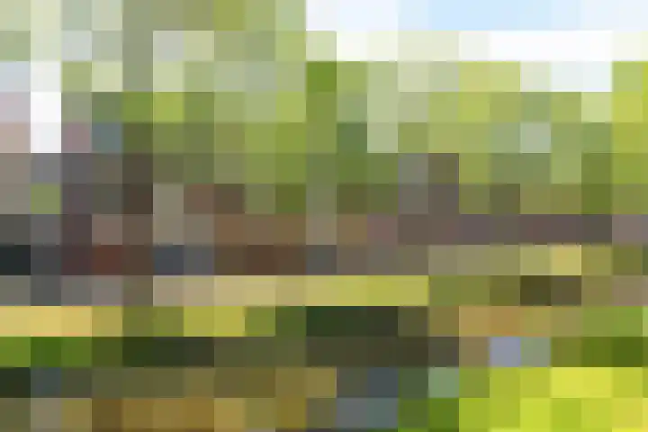 Bordeauxdreef 45 Rotterdam thumbnail 8
