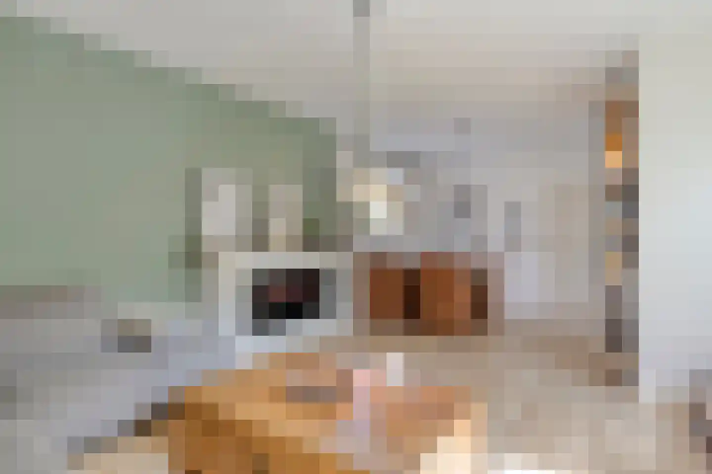 Bordeauxlaan 25 Eindhoven thumbnail 11