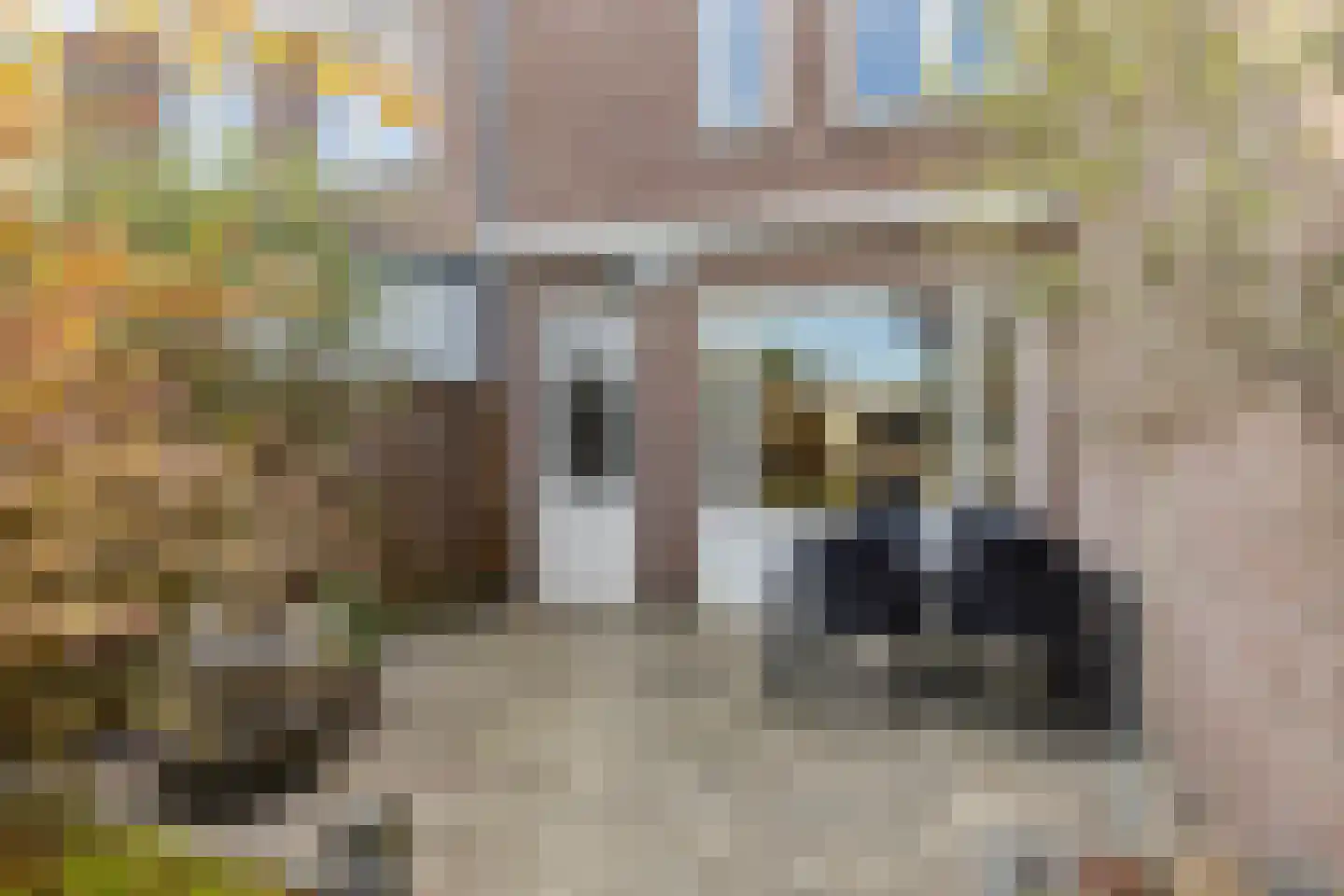 Bordeauxlaan 25 Eindhoven thumbnail 28