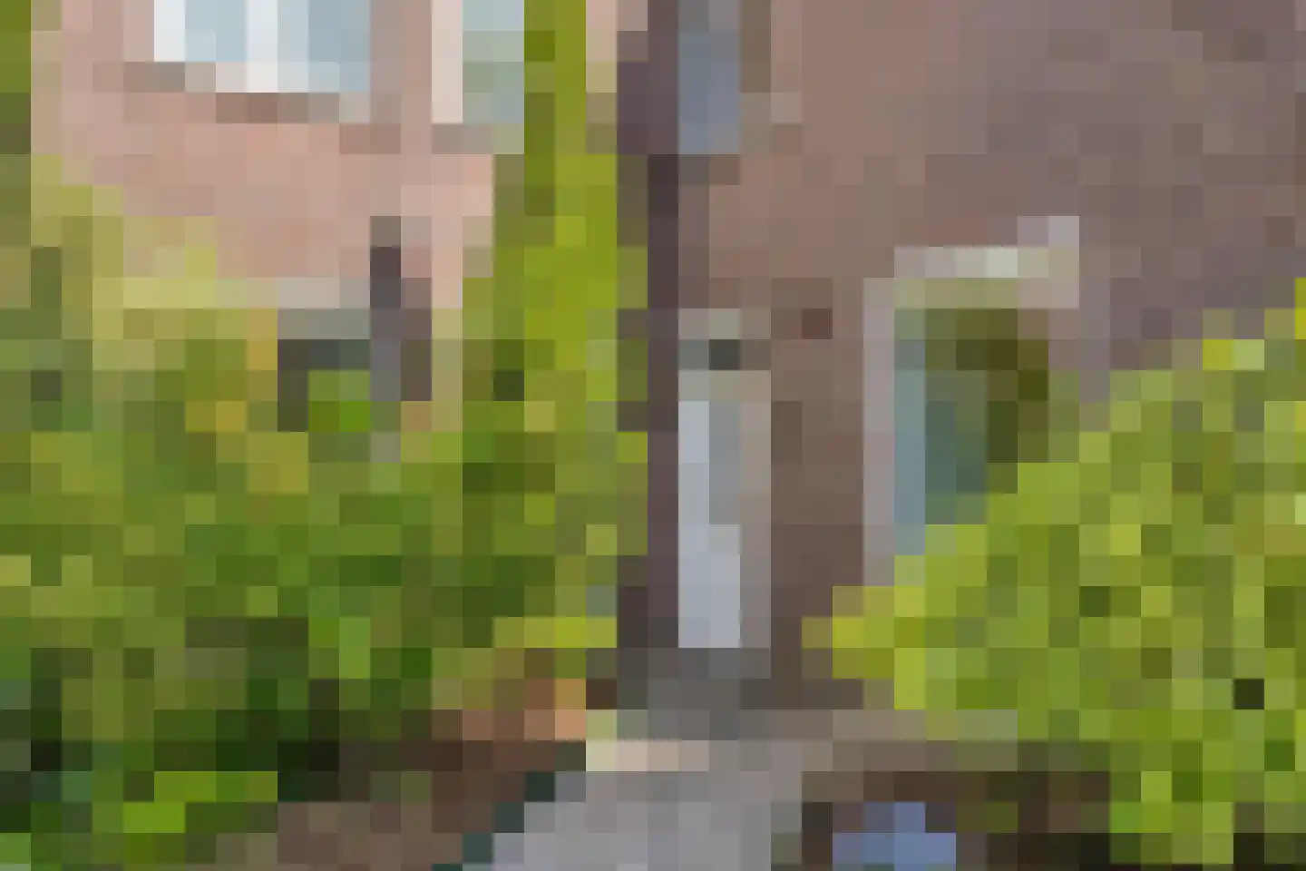 Bordeauxlaan 25 Eindhoven thumbnail 6