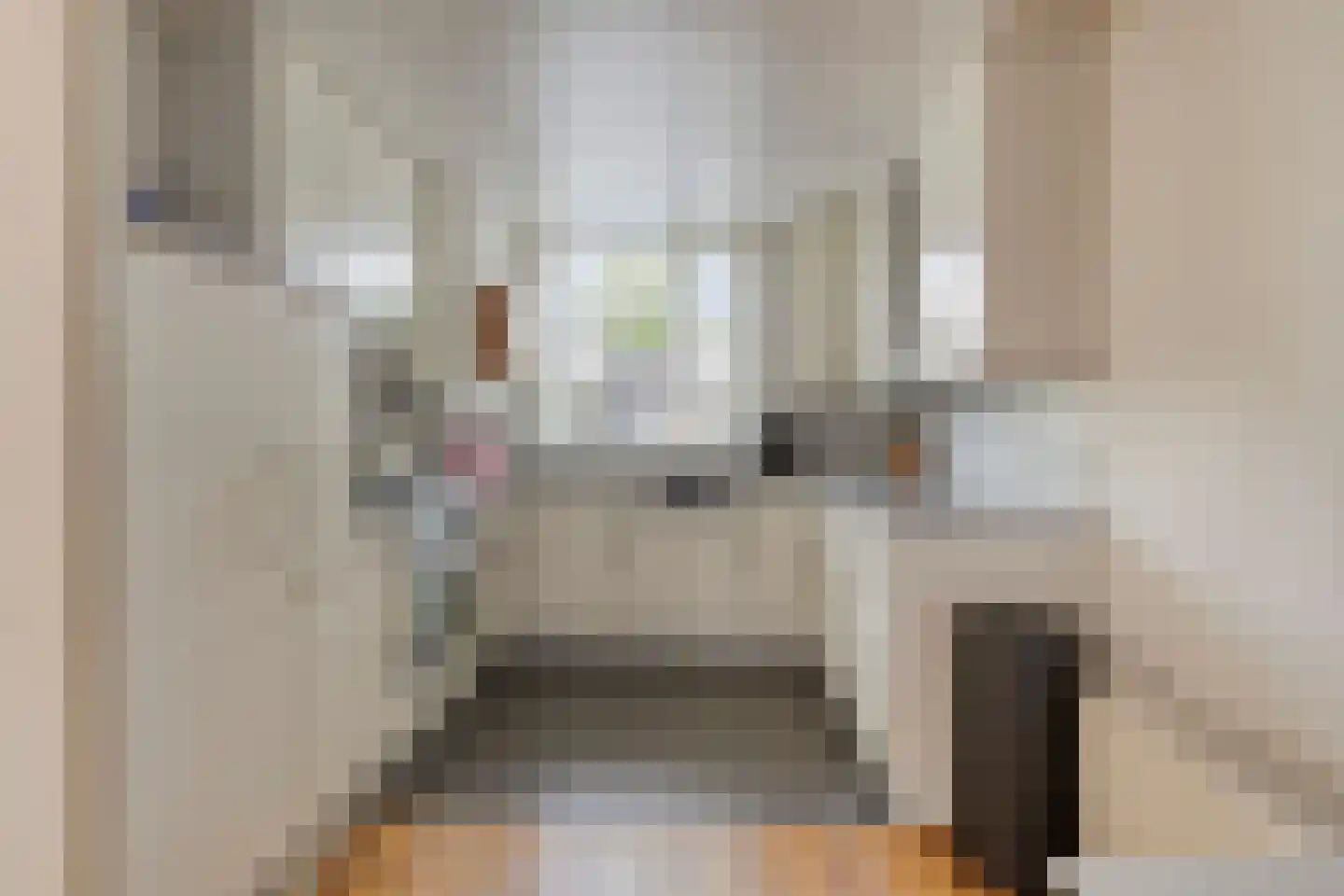 Bordeauxlaan 36 Eindhoven thumbnail 11