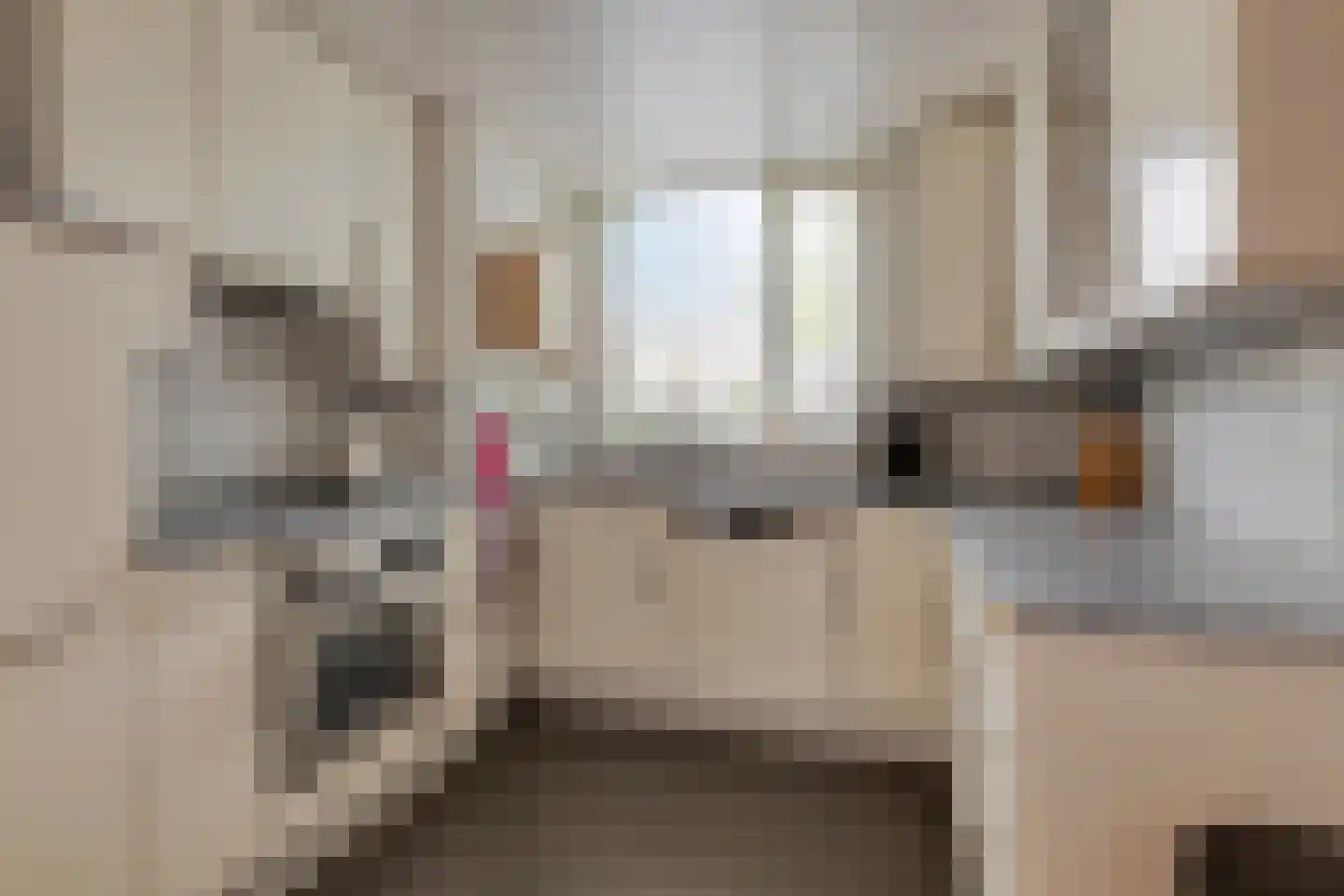 Bordeauxlaan 36 Eindhoven thumbnail 12