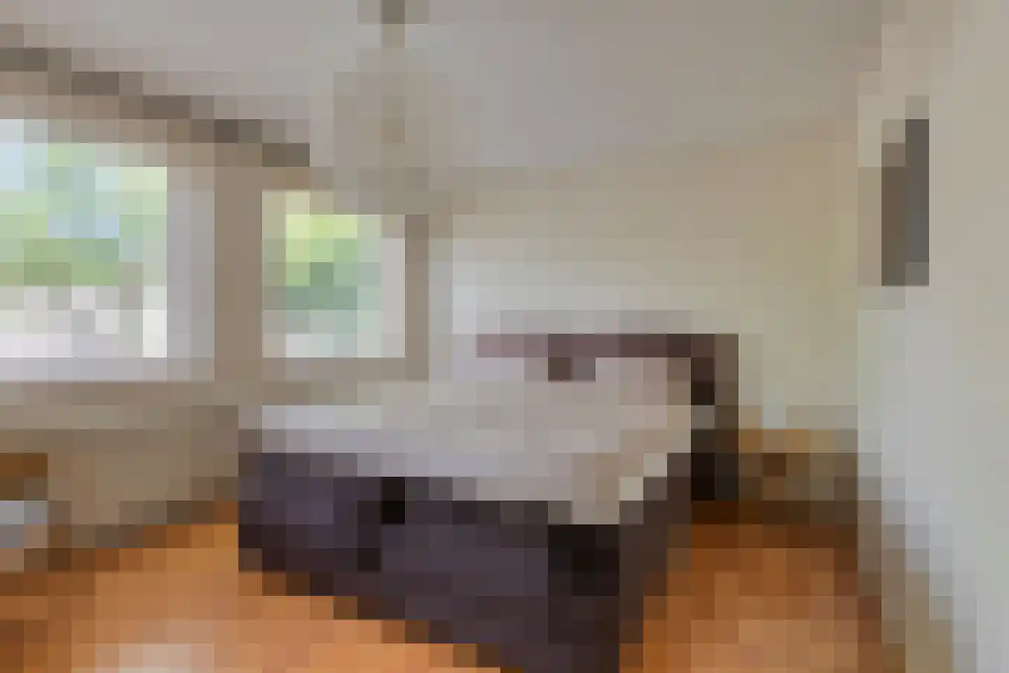 Bordeauxlaan 36 Eindhoven thumbnail 19