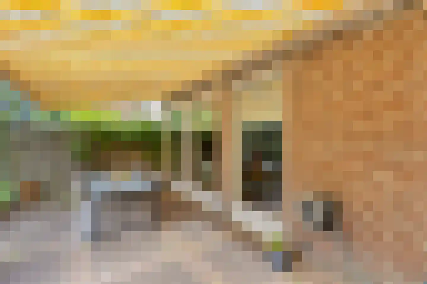 Bordeauxlaan 36 Eindhoven thumbnail 31