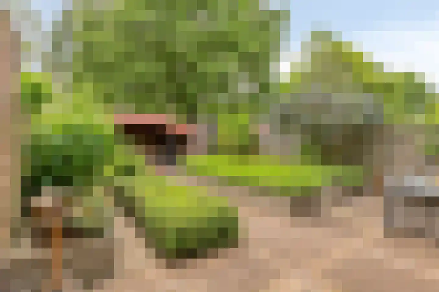 Bordeauxlaan 36 Eindhoven thumbnail 33