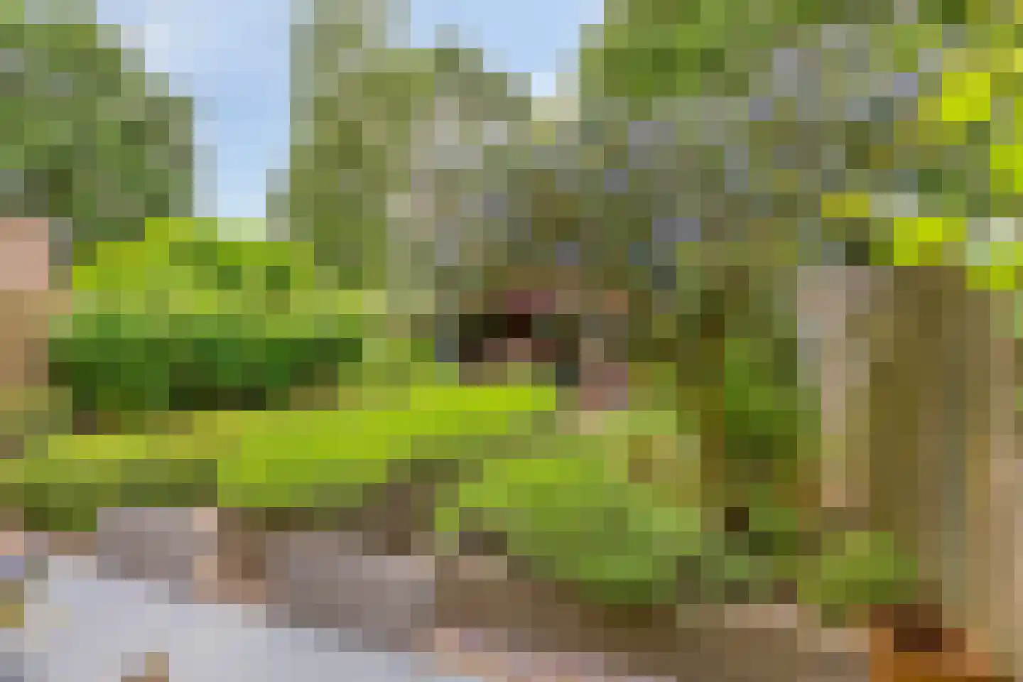 Bordeauxlaan 36 Eindhoven thumbnail 34