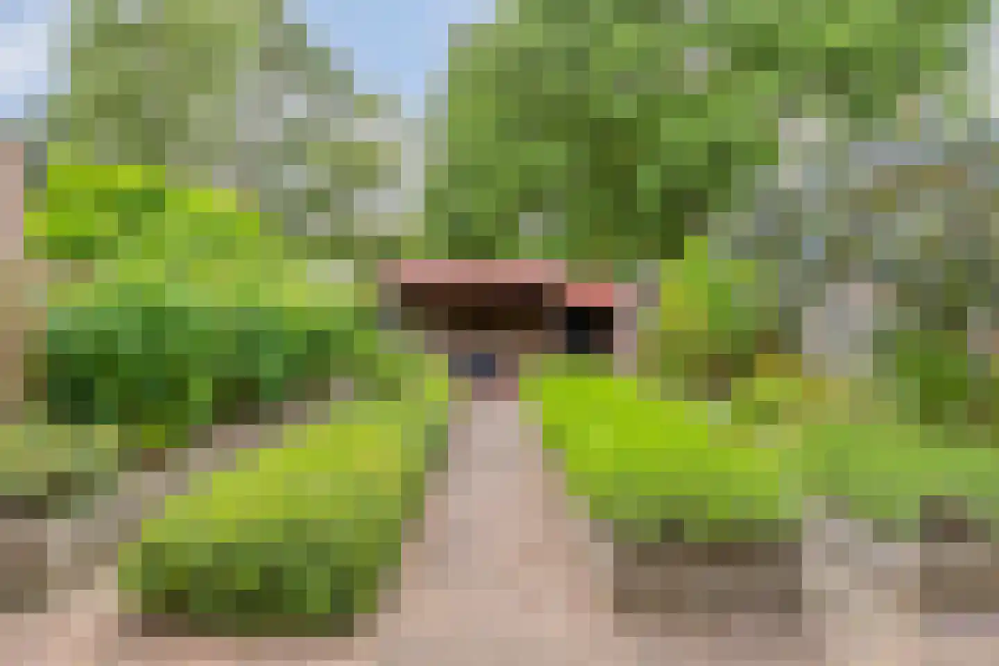 Bordeauxlaan 36 Eindhoven thumbnail 36