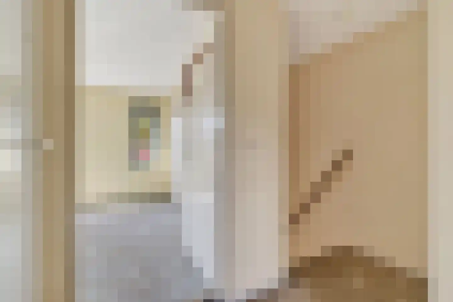 Bordeauxlaan 89 Eindhoven thumbnail 9