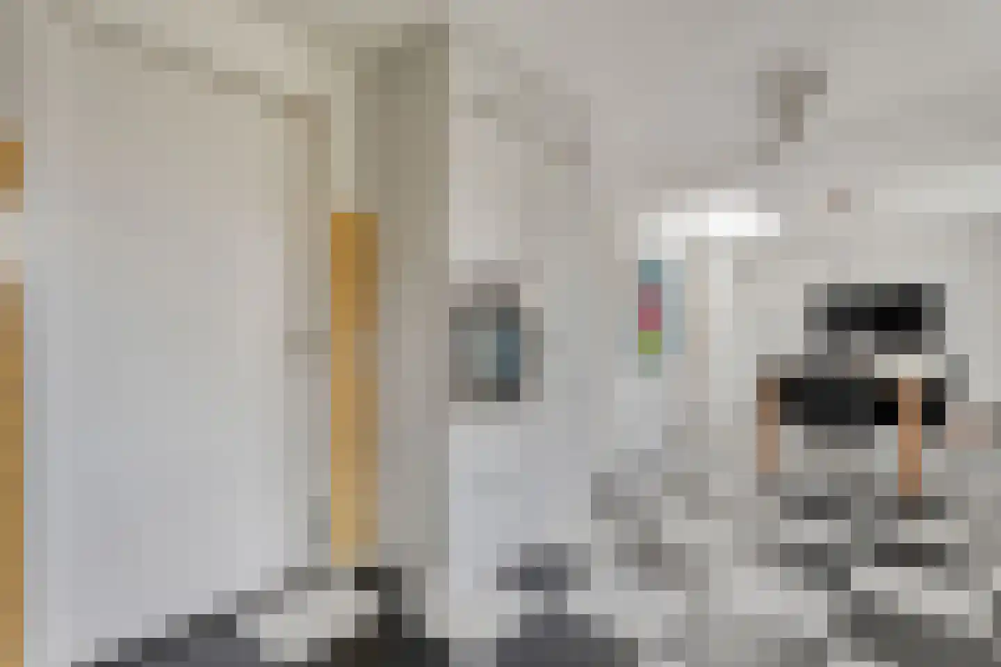 Bordeauxstraat 19 Hengelo thumbnail 17