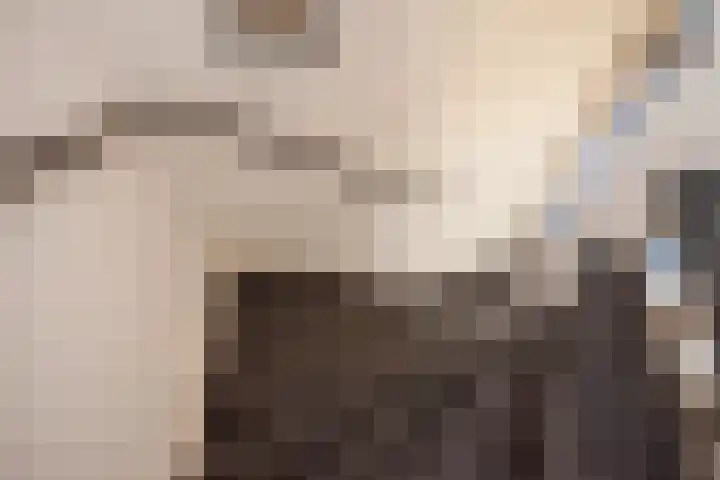 Bordeauxstraat 89 Zoetermeer thumbnail 31