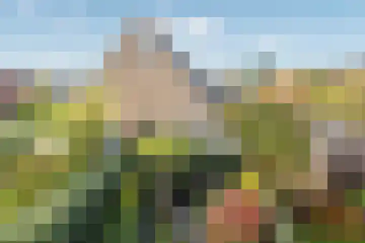 Bordeauxstraat 89 Zoetermeer thumbnail 33