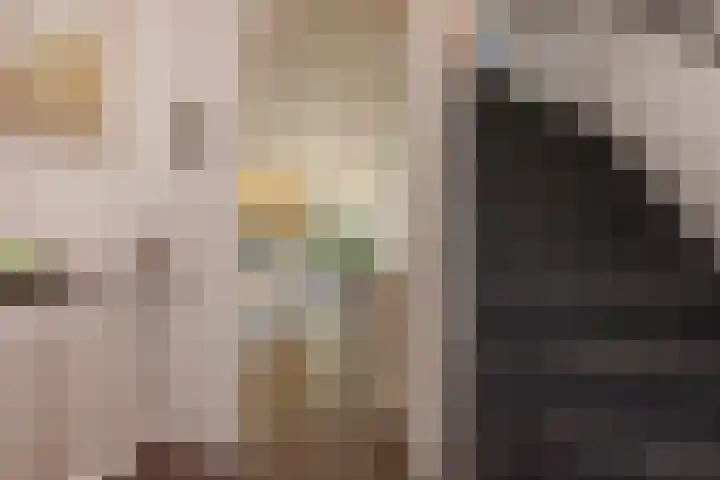 Bordeauxstraat 89 Zoetermeer thumbnail 8