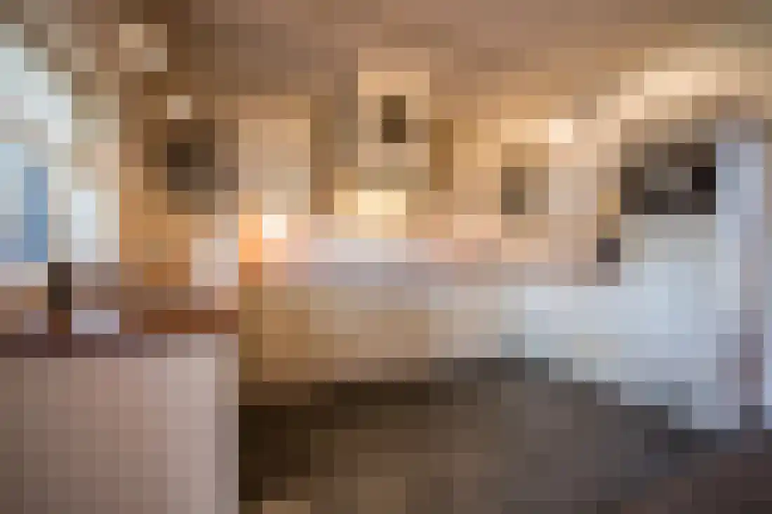 Border 11 Almelo thumbnail 14