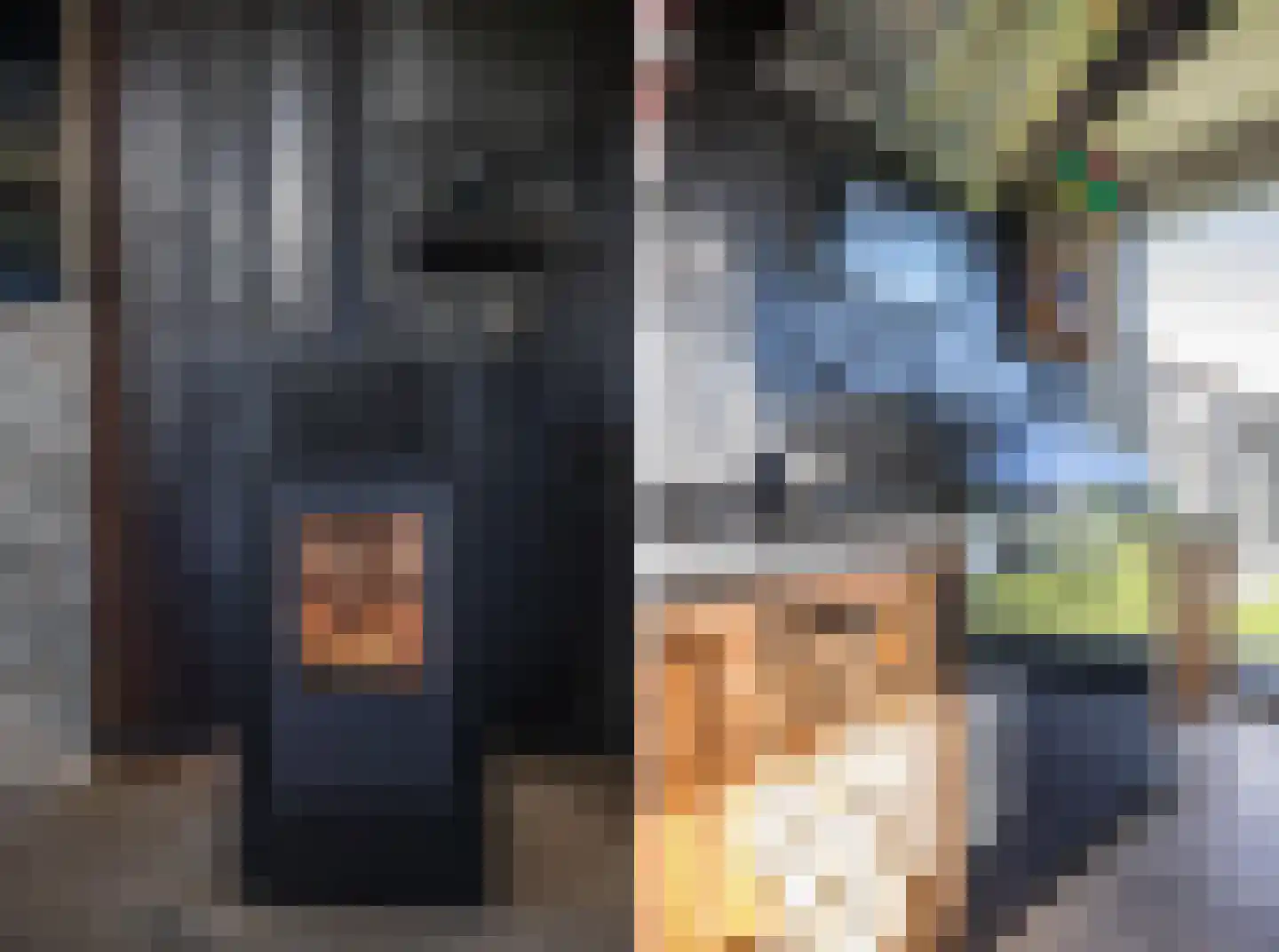 Border 11 Almelo thumbnail 19