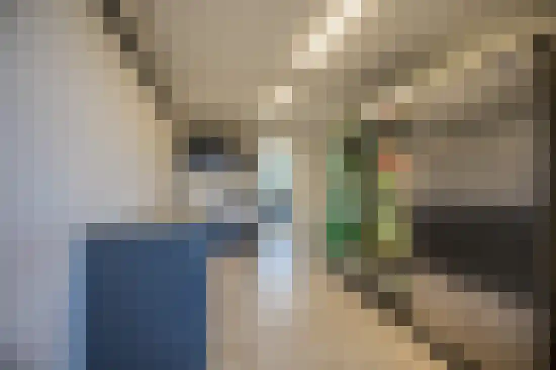 Border 11 Almelo thumbnail 24