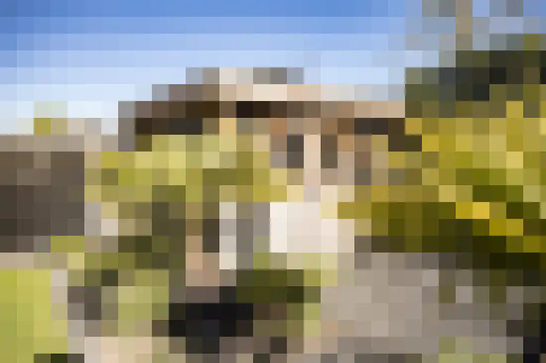 Border 11 Almelo thumbnail 40