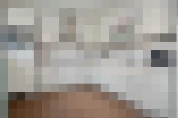 Border 14 Almelo thumbnail 12