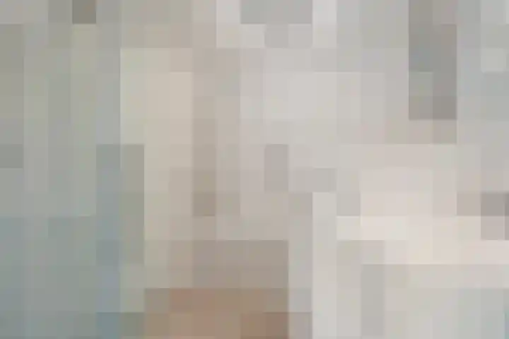 Border 14 Almelo thumbnail 16