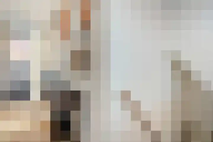 Border 14 Almelo thumbnail 18