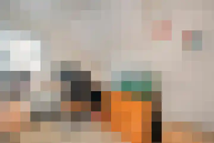 Border 14 Almelo thumbnail 23