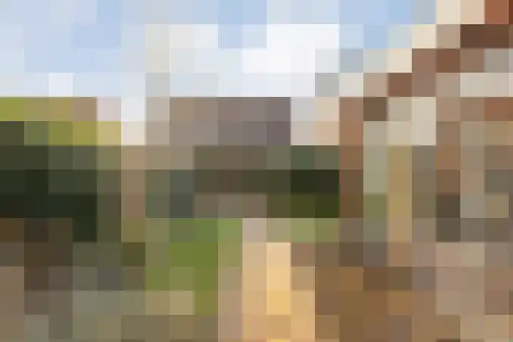 Border 14 Almelo thumbnail 31