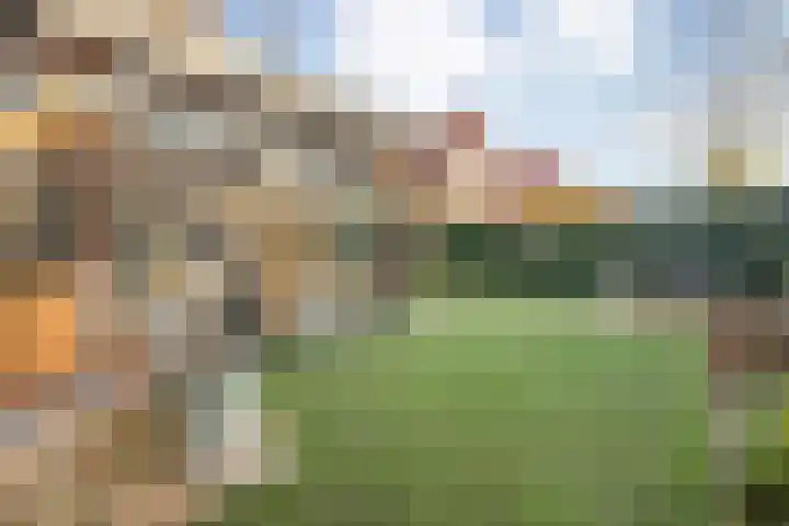 Border 14 Almelo thumbnail 32