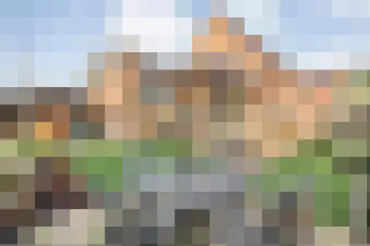 Border 14 Almelo thumbnail 33