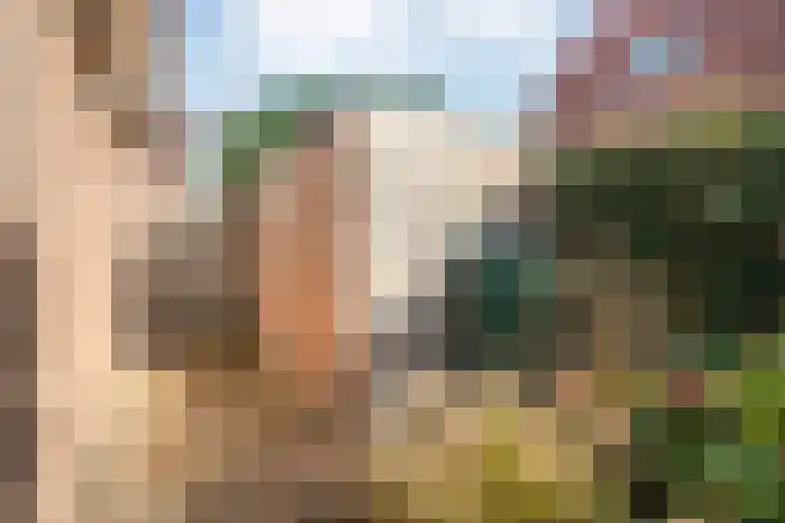 Border 14 Almelo thumbnail 34