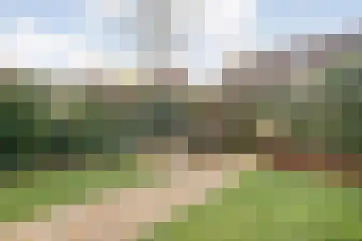 Border 14 Almelo thumbnail 36