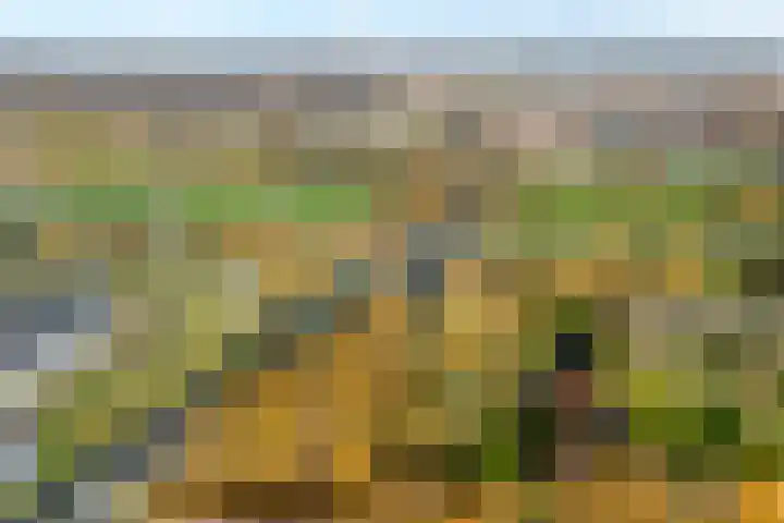 Border 14 Almelo thumbnail 39