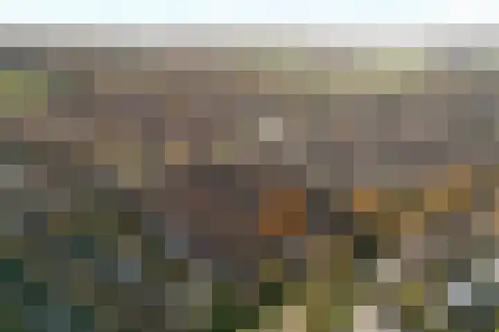 Border 14 Almelo thumbnail 40