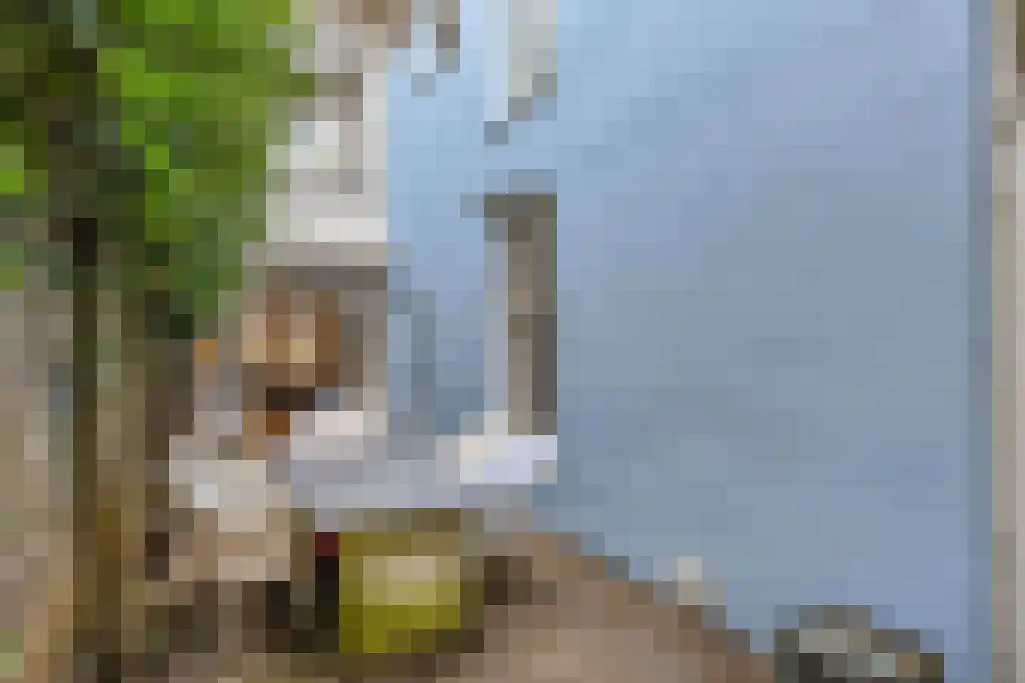 Border 14 Almelo thumbnail 45