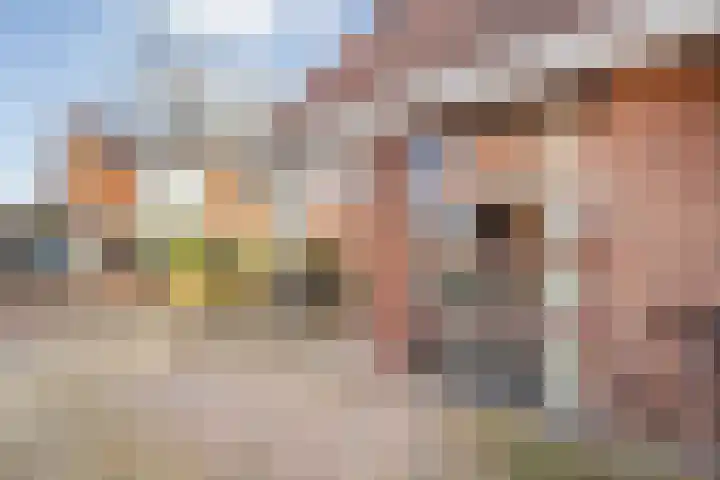 Border 14 Almelo thumbnail 5
