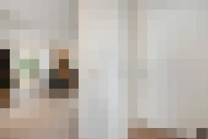 Border 14 Almelo thumbnail 7