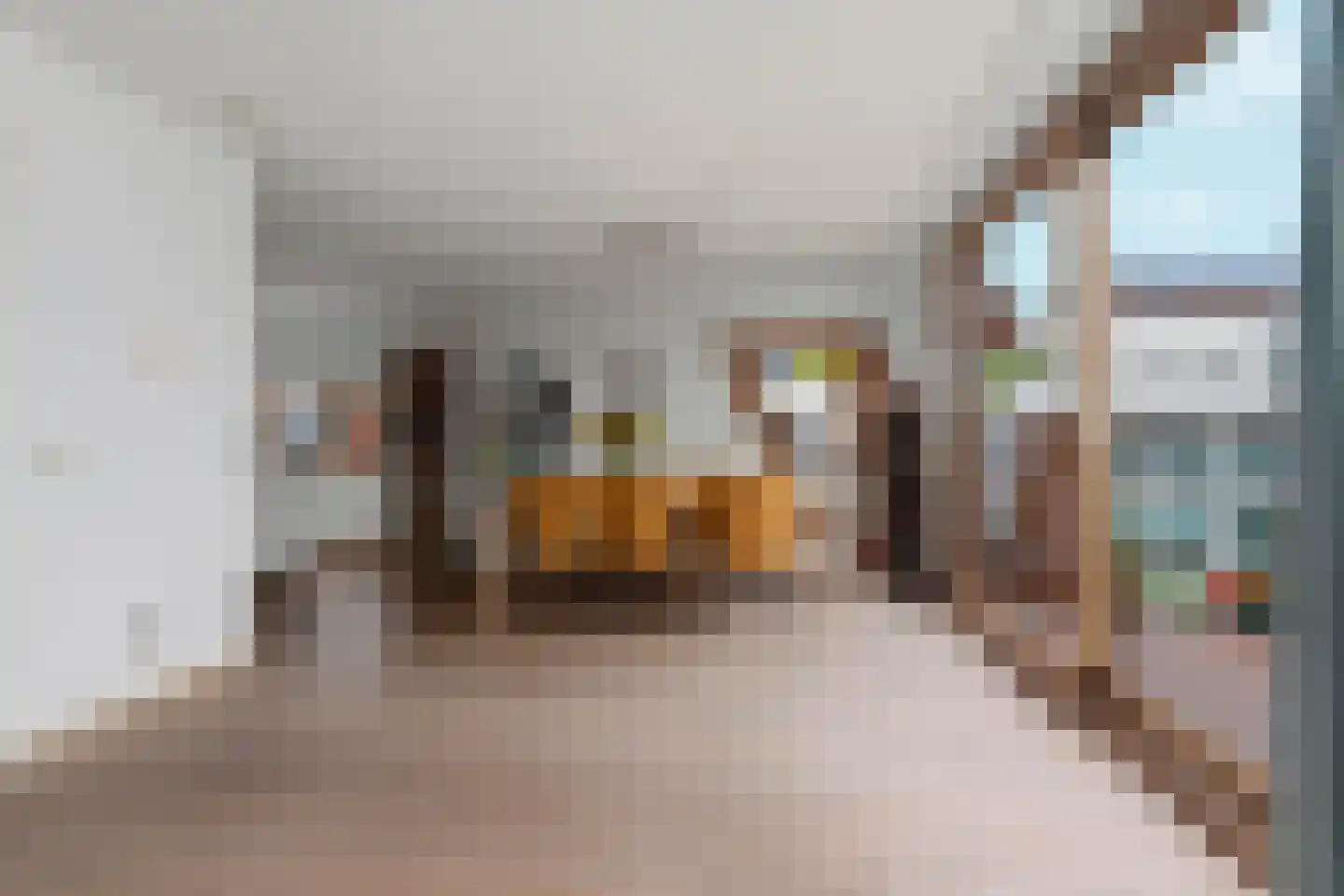 Bordeslaan 101 's-Hertogenbosch thumbnail 10