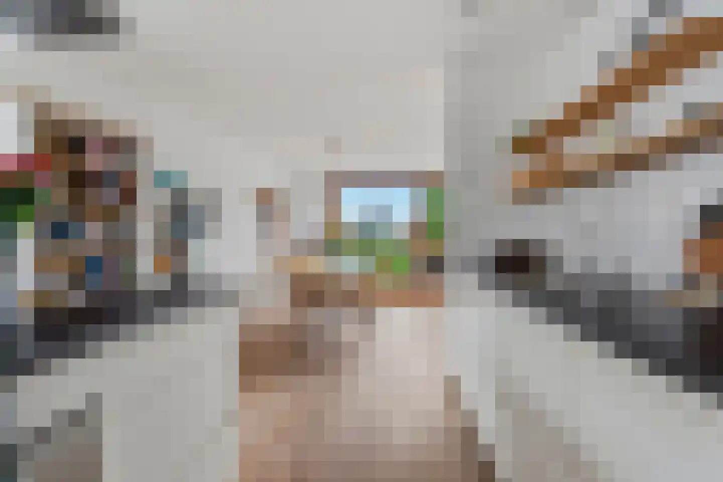 Bordeslaan 101 's-Hertogenbosch thumbnail 15