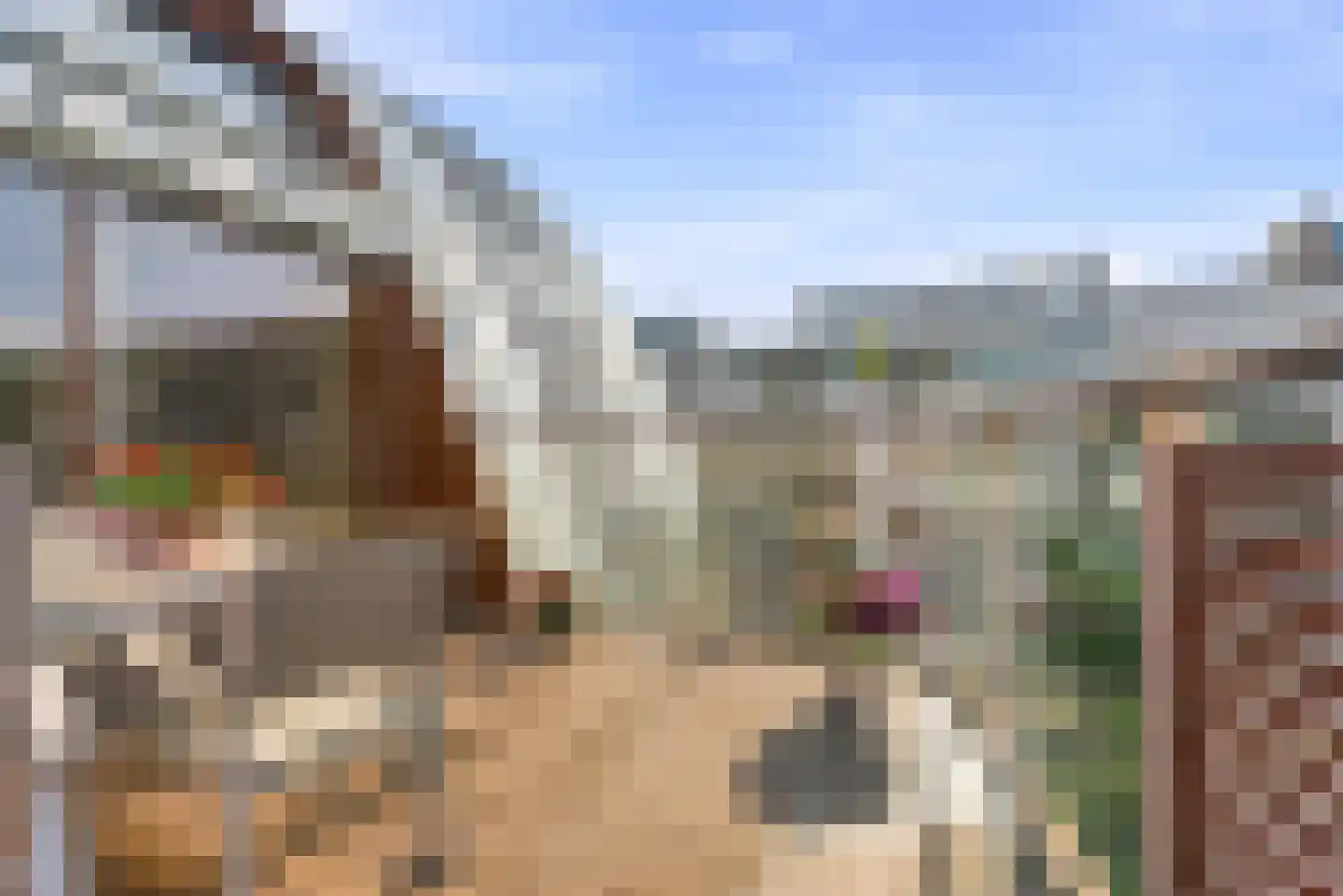 Bordeslaan 101 's-Hertogenbosch thumbnail 32