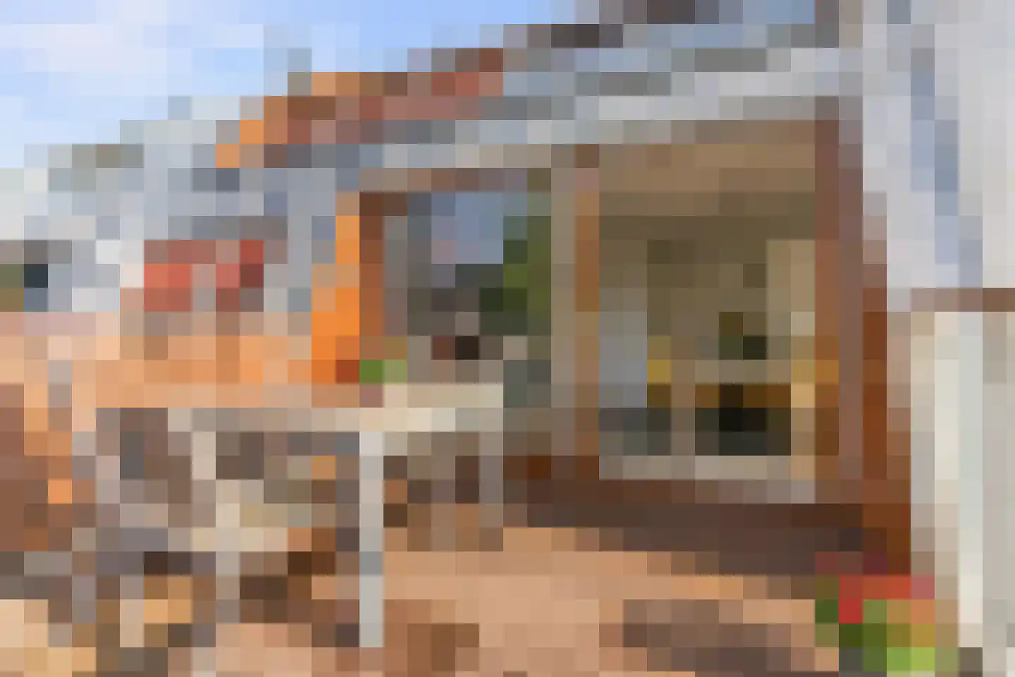 Bordeslaan 101 's-Hertogenbosch thumbnail 33
