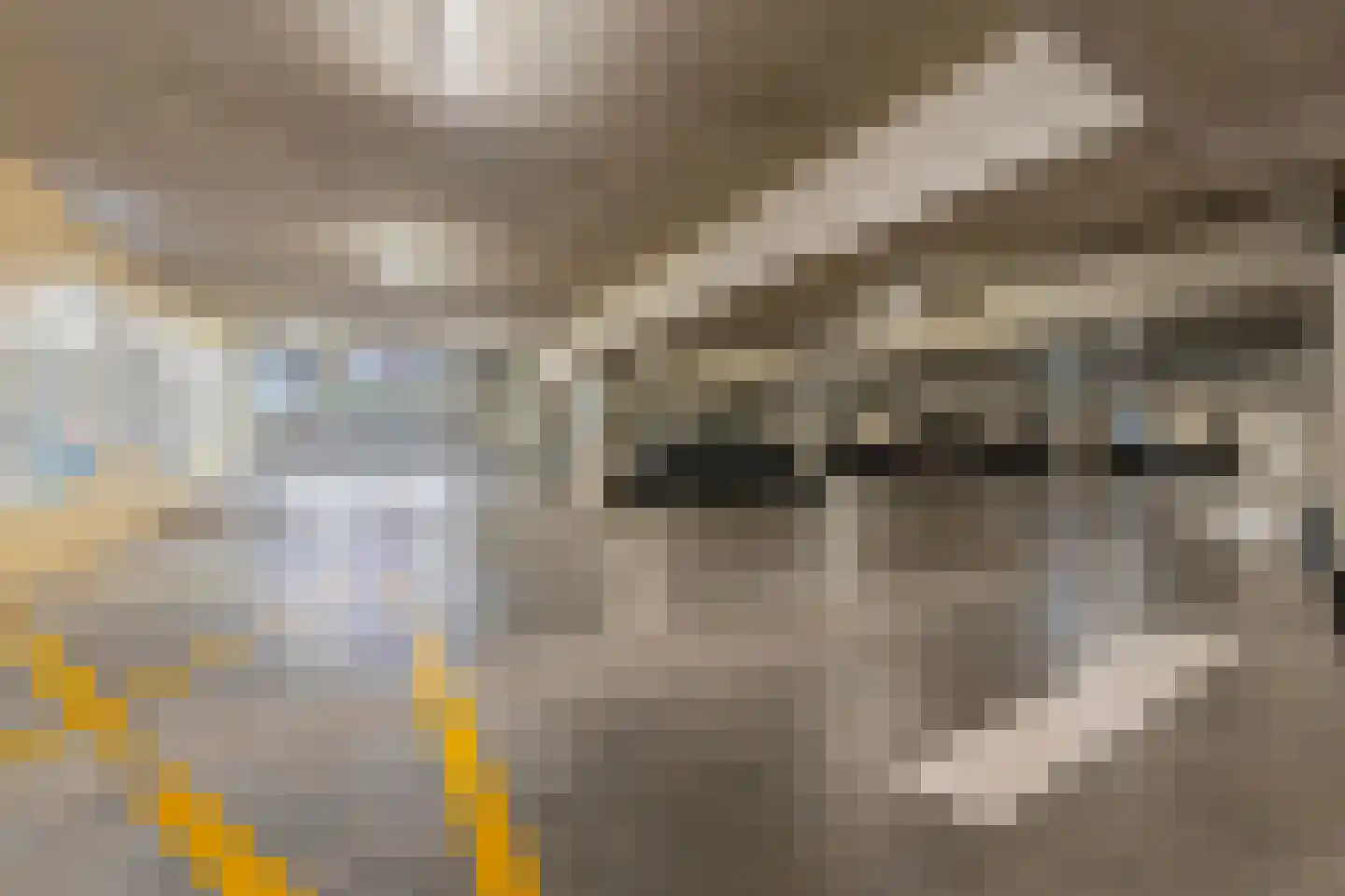 Bordeslaan 101 's-Hertogenbosch thumbnail 35