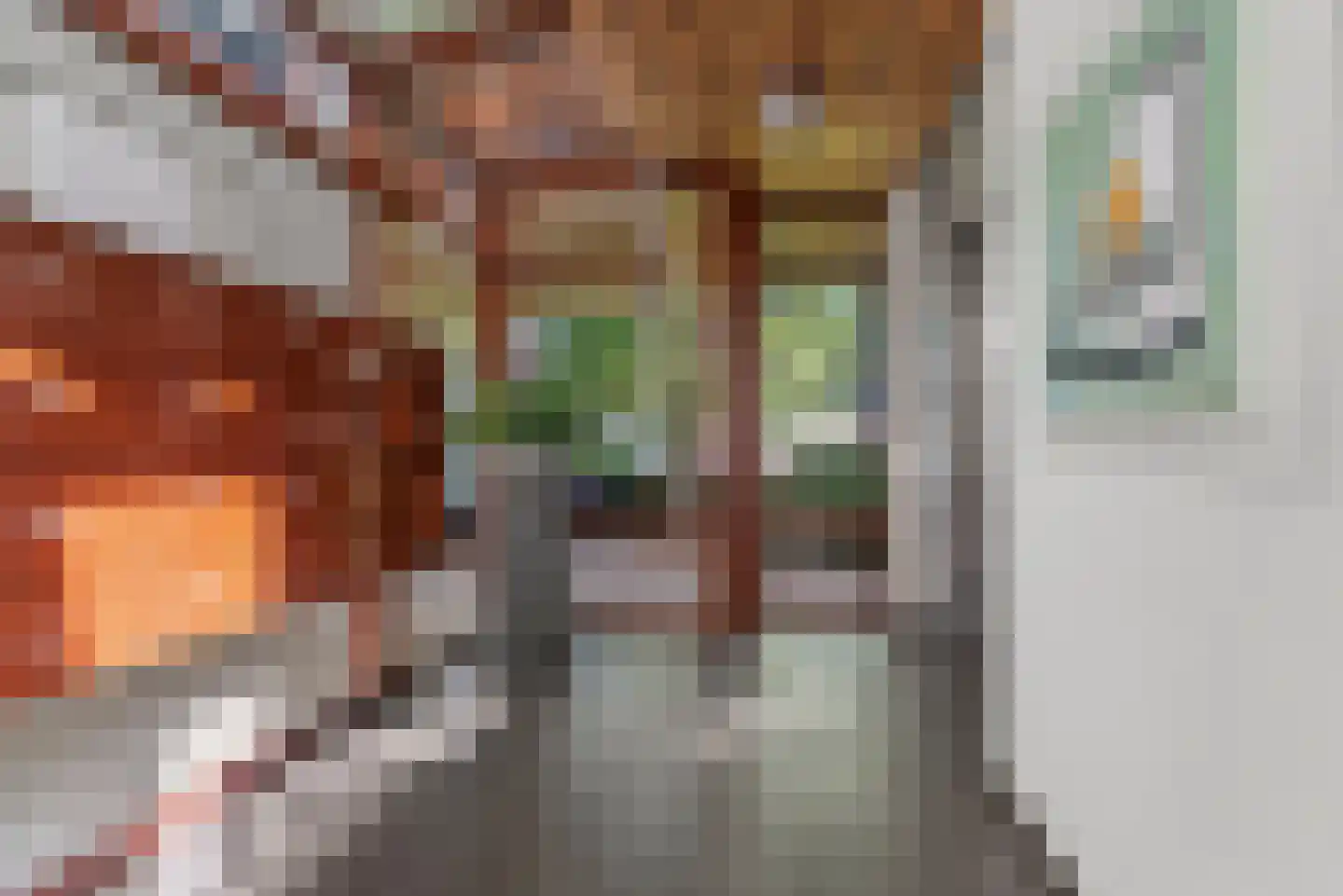 Bordeslaan 101 's-Hertogenbosch thumbnail 38