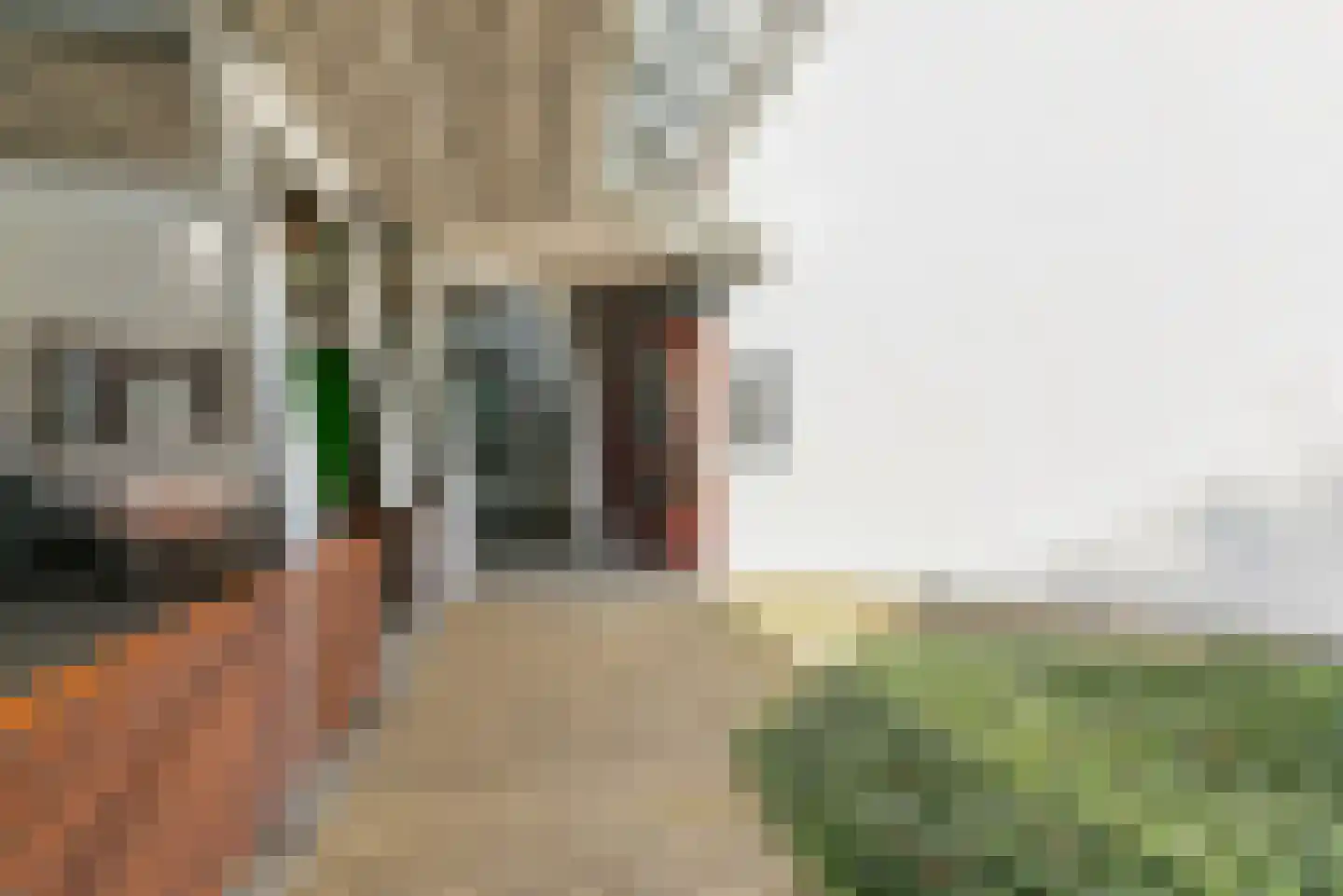 Bordeslaan 101 's-Hertogenbosch thumbnail 39