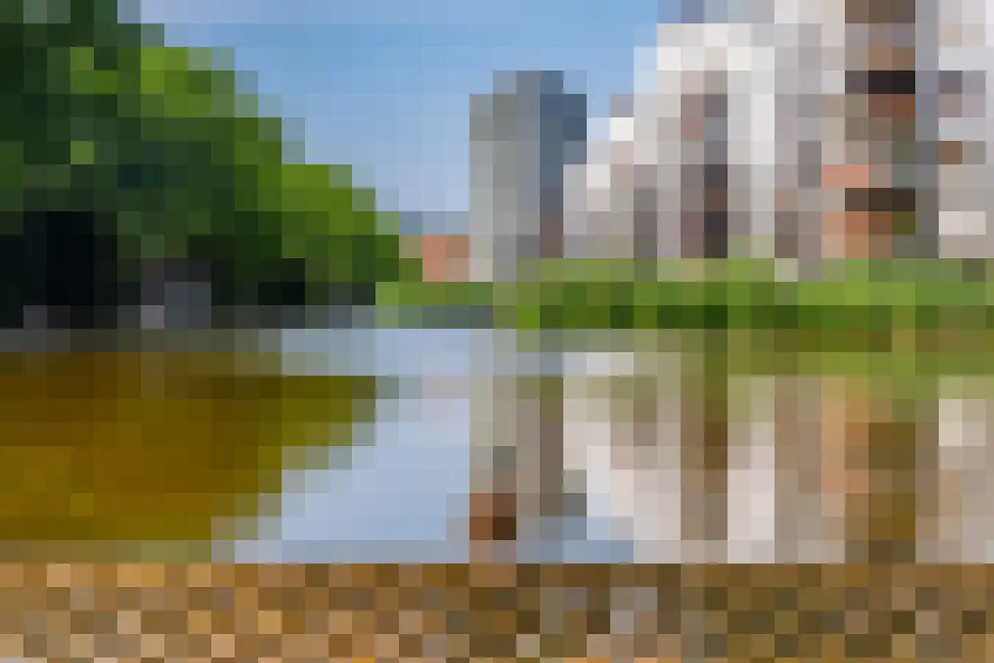 Bordeslaan 101 's-Hertogenbosch thumbnail 46