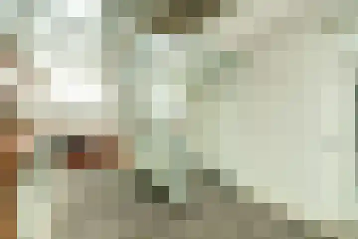 Bordeslaan 105 's-Hertogenbosch thumbnail 33